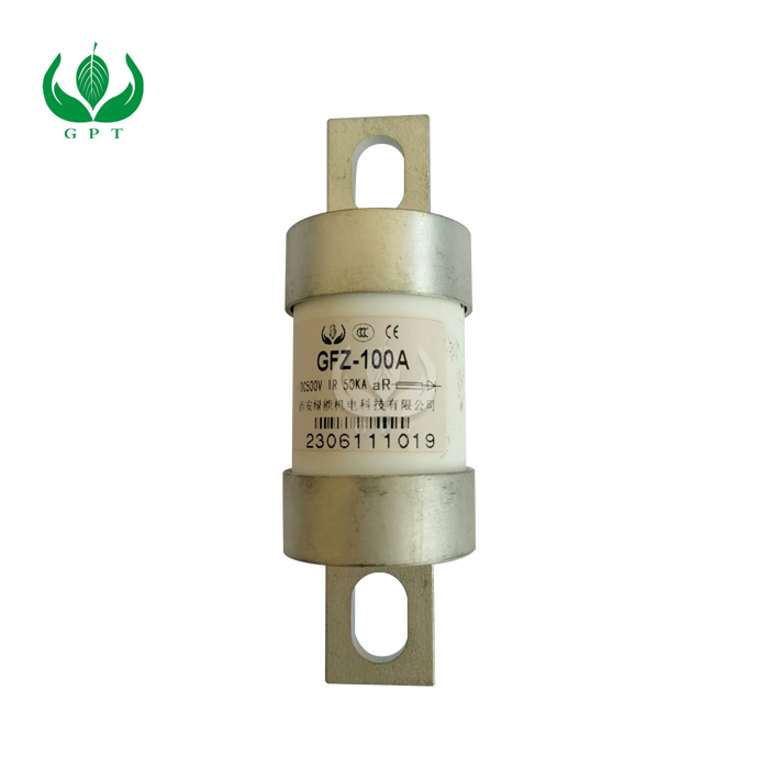 100A EV Fuse
